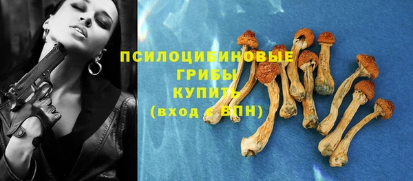 прущая мука Алзамай