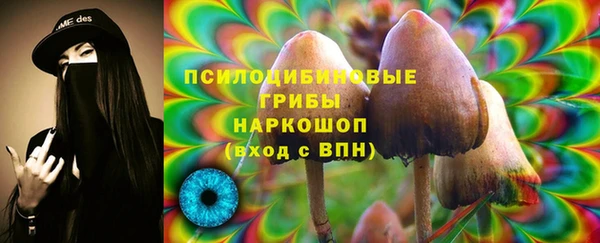 jwh Абаза